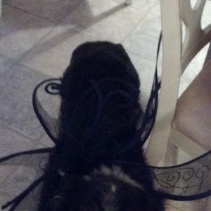 Meet your Posher, Kim